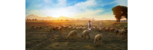 Shepherds tending sheep at sunset